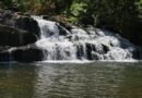 Cerrado perde 53% da superfície de água natural desde 1985 – IPAM Amazônia