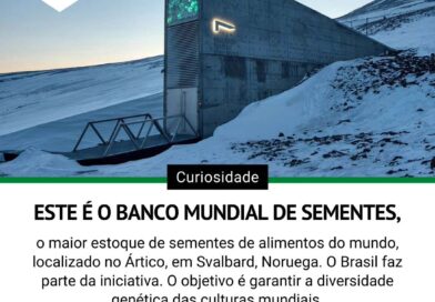 O Svalbard Global Seed Vault é um enorme depósito de sementes de todo o mundo. Essa grande estrutura de concreto foi construída a 100 metros dentro de uma montanha coberta de gelo permanente, com objetivo de evitar a perda do patrimônio botânico do mundo.

A estrutura, financiada e gerenciada pela Noruega, foi construída em 2008 para constituir uma reserva que garantiria a diversidade genética das culturas. Nas prateleiras dispostas em enormes salas, mais de um milhão de espécies e variedades de sementes importantes para a nutrição humana e animal são encontradas.

O banco de sementes já provou sua utilidade quando, há alguns anos, um grupo de pesquisadores do Centro Internacional de Pesquisa Agrícola em Áreas Secas de Aleppo, na Síria,, solicitou uma coleta de suas sementes. O instituto Aleppo havia sido ocupado e destruído pelo ISIS e os pesquisadores conseguiram repor a herança de sementes para suas pesquisas.

Siga-nos: @ibsustentabilidade.

#meioambiente #engenharia #direitoambiental #engenhariaambiental #biologia  #educacaoambiental #licenciamentoambiental #agronomia #geologia #sustentabilidade #geografia #gestaoambiental #consultoriaambiental #agro #engenhariaquimica #biologo #engenhariaflorestal #gestãoambiental #esg