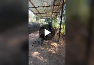 TikTok · Bora pra Roça?