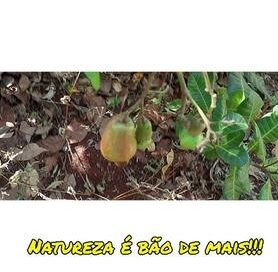 Natureza é bão de mais!!!