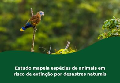 Estudo mapeia espécies de animais em risco de extinção por desastres naturais

C…