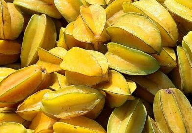 ¡Hola a todos!
 ¿cómo llaman a esta fruta en sus países?
