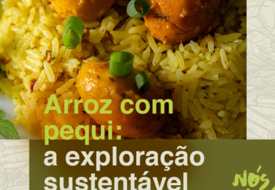 Produção sustentável do pequi