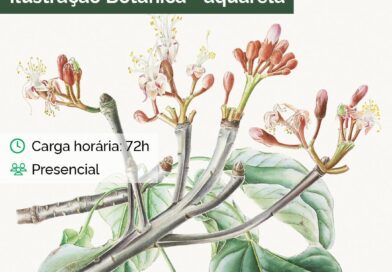 Inscrições abertas para o curso de Ilustração Botânica em Aquarela na ENBT!

 I…