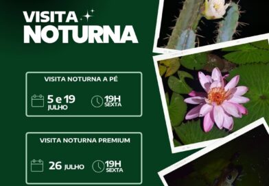 Confira as datas, no mês de julho, em que você pode aproveitar as belezas do Ja…