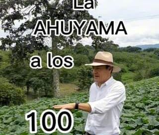 Como ha sido la evolución del cultivo de AHUYAMA a losv100 días.