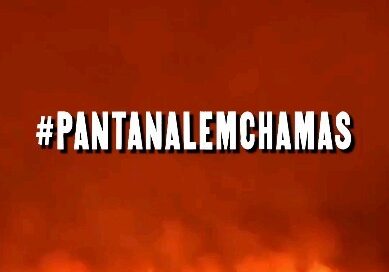 Por que o #Pantanal está queimando? O Climainfo preparou uma página especial para te pôr a par da situação enfrentada pelo #bioma. 

Entender com clareza para saber como agir. 

Confira: https://climainfo.org.br/pantanal-em-chamas/

#PantanalEmChamas #SOSPantanal