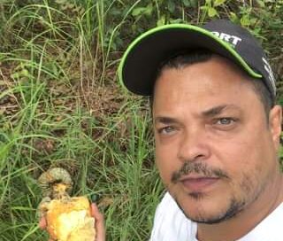 Articum ou marolo do cerrado #cerradoesooouro #roça #sonativas #naturezaperfeit…