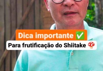 ???? Dica importante para quem tem um bosque na propriedade rural…

✅ A dica é produzir shiitake em toras! É um processo extremamente simples e muito agradável para quem quer ter renda na área rural

O choque hídrico é um processo simples e muito interessante para estimular o fungo. Como vocês podem observar, todo o processo é feito com equipamentos de investimento baixo, e com um ótimo retorno na frutificação alto 

???? Salve este conteúdo para quando estiver produzindo o seu shiitake em toras!

#propriedaderural #cogumelos #fazenda #agronegócio #empreendedorismorural #agricultura #sitio #agriculturafamiliar