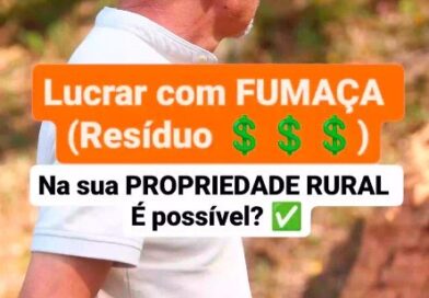 ???? Quando eu falo que a produção de cogumelos é lucrativa, eu não estou de brincadeira!

✅ Isso porque você pode aproveitar até o resíduo da produção para criar novos produtos

Esse forno serve para fazer o Extrato Pirolenhoso (fumaça líquida), um super produto que está em alta no mercado, sendo vendido por valores cada vez mais atrativos!

Para produzir o Extrato Pirolenhoso, aqui na Eco Fazenda Abe, eu utilizo as toras já utilizadas na produção do cogumelo shiitake. Ou seja, além da lucratividade com o cogumelo, eu consigo ter renda também com o resíduo 

???? Interessante? Compartilhe essa ideia com um novo produtor 

#propriedaderural #agronegócio #agriculturafamiliar #shiitake #agro #rural