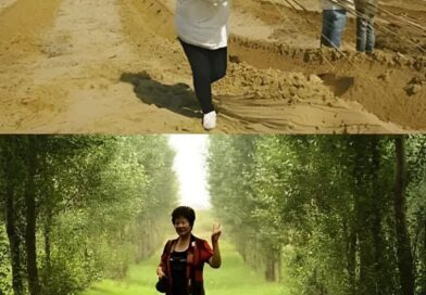 Yi Jiefang plantou milhões de árvores nos desertos da Mongólia Interior, noroest…