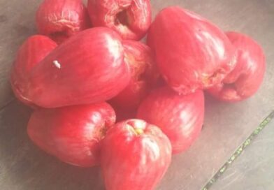 Con que nombre conoces esta fruta

Con que nombre conoces esta fruta