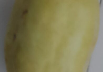 Con que nombre conoces esta fruta

Con que nombre conoces esta fruta