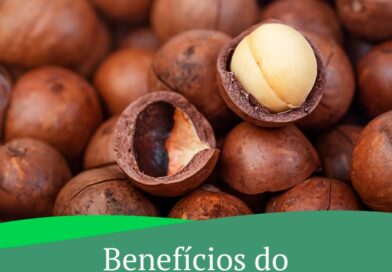 A macadâmia é uma oleaginosa repleta de nutrientes

Separamos aqui apenas 6 bene…