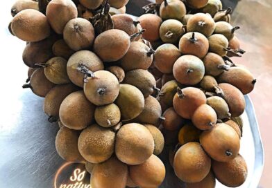 Tive um final de semestre muito corrido na faculdade, de modo que não deu tempo …