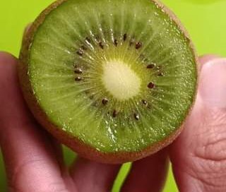 Curiosidades del Kiwi  ¿Conocían como es la planta?

Curiosidades del KIWI 
 #fr…