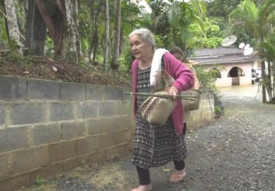 Casa de farinha Tapirai SP  comunidade Ribeirão Da Anta