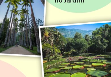 O Serviço de Educação Ambiental do Jardim Botânico do Rio de Janeiro traz uma pr…