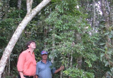Antonio Luiz Morschbacker e Zé Pereira, cuja avó fabricava geleias de Campomanes…