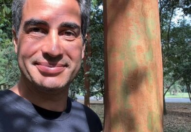 Polemizando! Mas essa vale a pena polemizar…

Eugenia leitonii- parece que essa espécie ainda não foi devidamente descrita, tanto que não consta na Lista do Brasil, do Jardim Botânico do Rio de Janeiro.
Quem vende? @sitioraiodesol @fabricadearvores @j.pompeo @viveirociprest 

#jardim #paisagismo #arquitetura #desing #arvoresparajardinagem #horta #arvoresdamataatlanticadobrasil #arvoresnativas