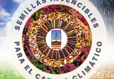 Primera parte de nuestro ranking de semillas invencibles para el cambio climátic…