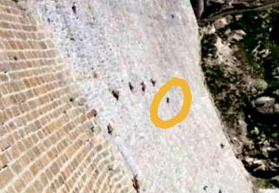 Não me pergunta como, mas elas conseguem.