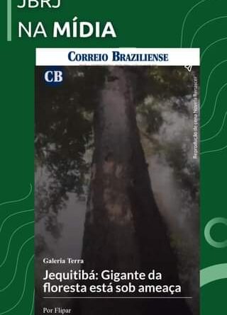 #JBRJnaMídia Jequitibá: Gigante da Floresta está sob ameaça
 O Correio Brazilien…