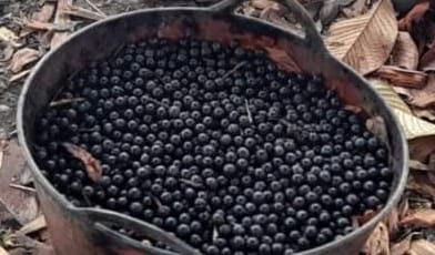 Con que nombre conoces esta fruta

Con que nombre conoces esta fruta