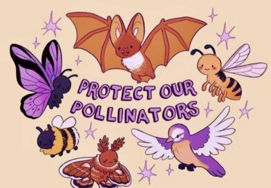 Protejam os polinizadores. Via @nanda_iferreira