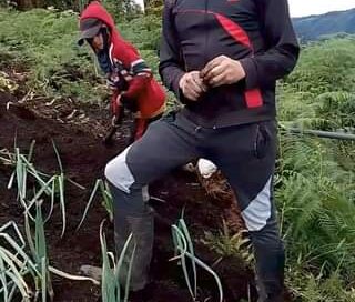 aprendiendo a sembrar cebolla de tallo largo #Cultivo #cebollas #parati #campesi…