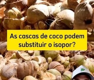 Por @ecoup_br . A Fortuna Cool, uma empresa localizada nas Filipinas, está fazendo uma transformação inspiradora ao transformar cascas de coco em isolamento térmico biodegradável. Essa iniciativa não só contribui para a preservação do meio ambiente, mas também fortalece a economia local.

A substituição do isopor por esse material sustentável é uma alternativa promissora, pois além de reduzir o impacto ambiental, ajuda a impulsionar a indústria local. A Fortuna Cool está mostrando que é possível inovar e encontrar soluções criativas para os desafios ambientais.

Compartilhe suas opiniões ou dúvidas sobre essa transformação incrível nos comentários abaixo. Queremos saber o que você pensa! ????????

———

???? VIDA BR: Moda Sustentável ao seu Alcance! ????

✔️ Líderes em vestuário sustentável com efeito na luz solar.
✔️ Produção realizada por projetos sociais e ambientais.
✔️ Compromisso com a comunidade e meio ambiente.
✔️ Peças com TAG de papel semente e embalagem transformável em cabide.
✔️ Personalização com a sua marca.

???? Contato: (link na bio)
???? WhatsApp: 85 9840.6000
???? Site: www.vidabr.com.br

♻️ Faça parte dessa transformação! Junte-se à VIDA BR e adote um estilo de vida sustentável. ????????

#VIDABR #ModaSustentável #ConsumoConsciente #EnergiaSolar #Ecologia #LixoZero #EnergiaRenovável #Reutilizar #Reciclar #DesenvolvimentoSustentável #EconomiaCircular #SustentabilidadeEmpresarial #ESG #HidrogênioVerde #GreenLiving #PlanteUmaÁrvore #PreserveANatureza #ReduzaReutilizeRecicle #SustainableLiving #SustainableFashion #EcoFriendly