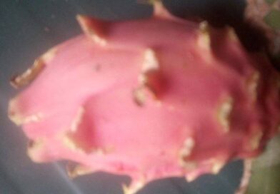 Esta fruta tropical ,
