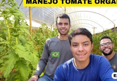 Inscrevam-se no canal e ajude a divulgar a agricultura familiar orgânica e suste…